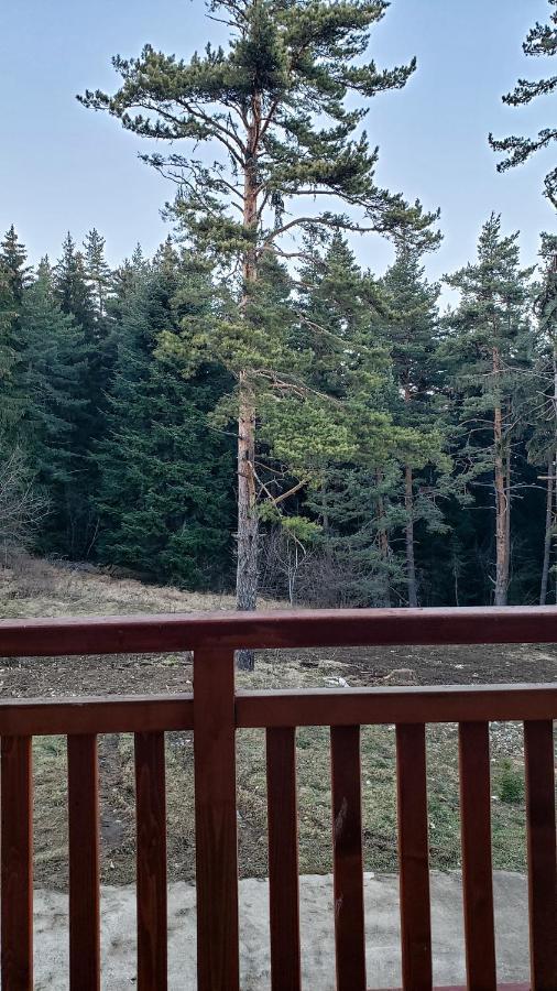 Semiramida Gardens Apartments Borovets Eksteriør bilde