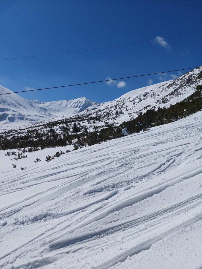 Semiramida Gardens Apartments Borovets Eksteriør bilde